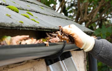gutter cleaning Nant Y Derry, Monmouthshire